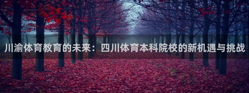 川渝体育教育的未来：四川体育本科院校的新