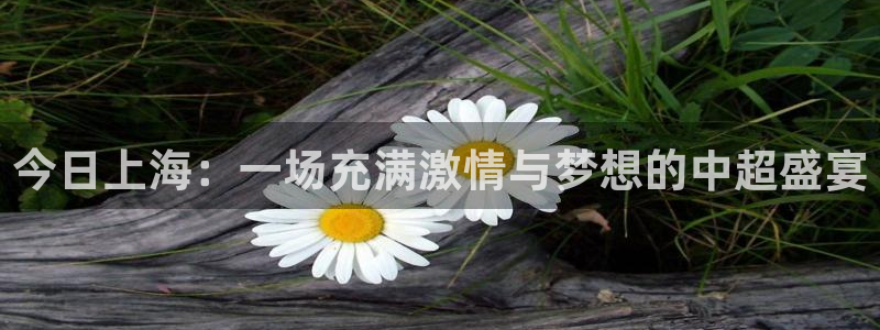 今日上海：一场充满激情与梦想的中超盛宴