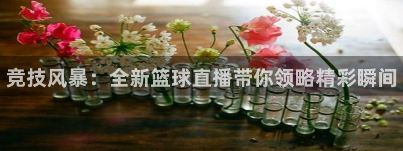 竞技风暴：全新篮球直播带你领略精彩瞬间