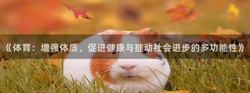 《体育：增强体质、促进健康与推动社会进步