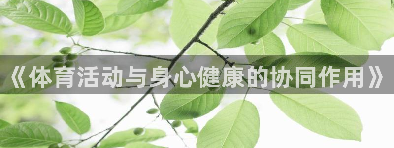 《体育活动与身心健康的协同作用》