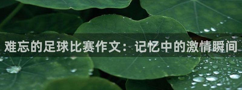 难忘的足球比赛作文：记忆中的激情瞬间